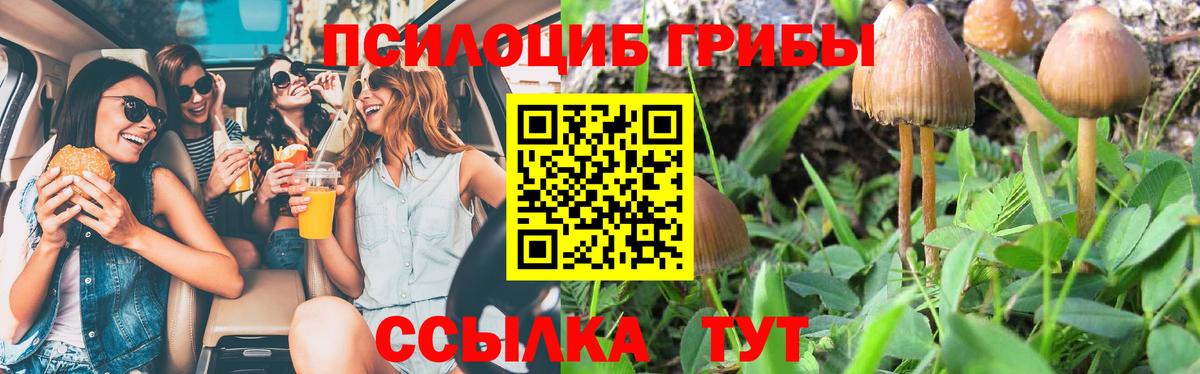 Псилоцибиновые грибы Psilocybe  Псилоцибиновые грибы мицелий  Нефтекумск  Вход с VPN 